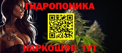 спиды Шелехов