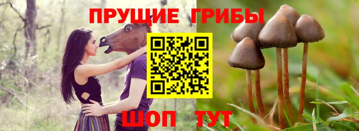 Узловая  Псилоцибиновые грибы MAGIC MUSHROOMS  Вход с VPN 